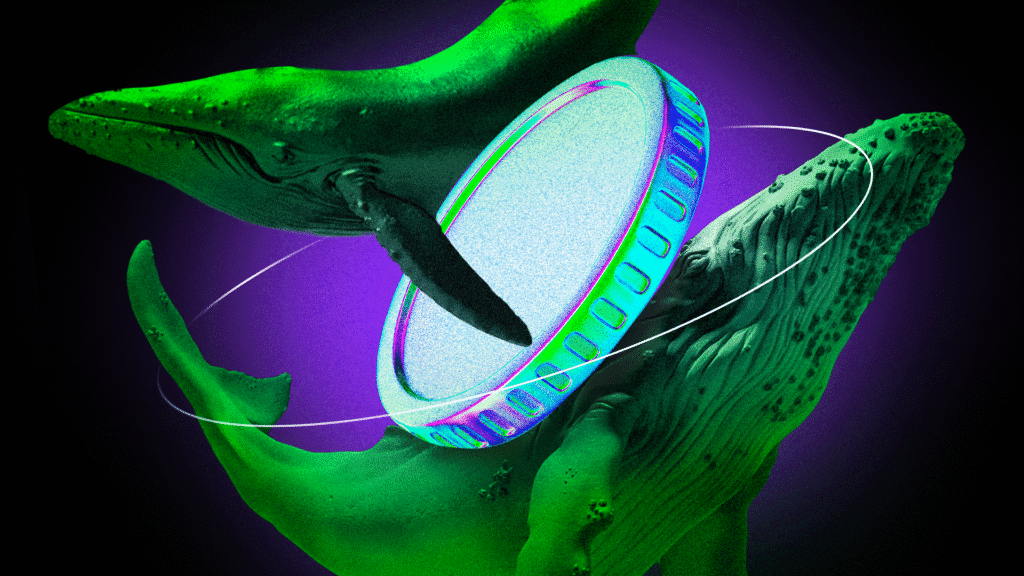 How crypto whale reacted to the market's decreased