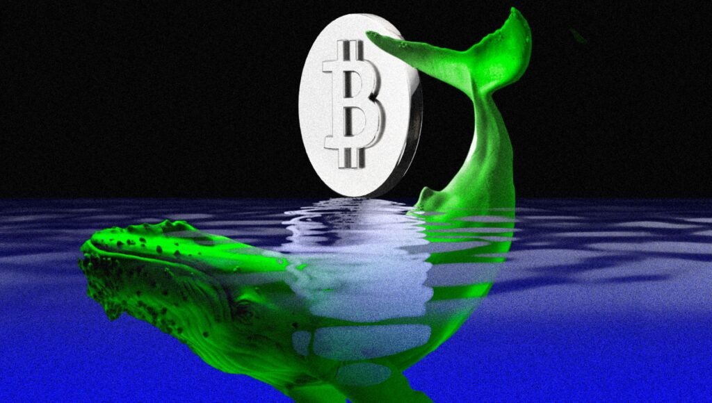 The indicator shows the shocking difference between bitcoin in the