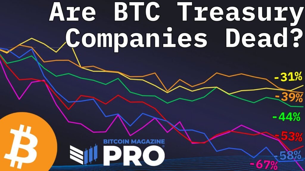 Is bitcoin finance company still a wise investment in 2025?