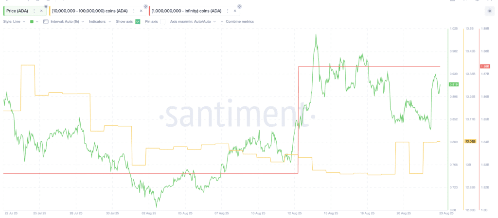 What is the whale buying after powell's jackson hole speech?