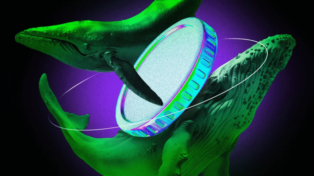 What the whales buy in the last week of september