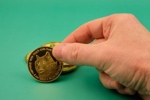 The Rise of Meme Coins